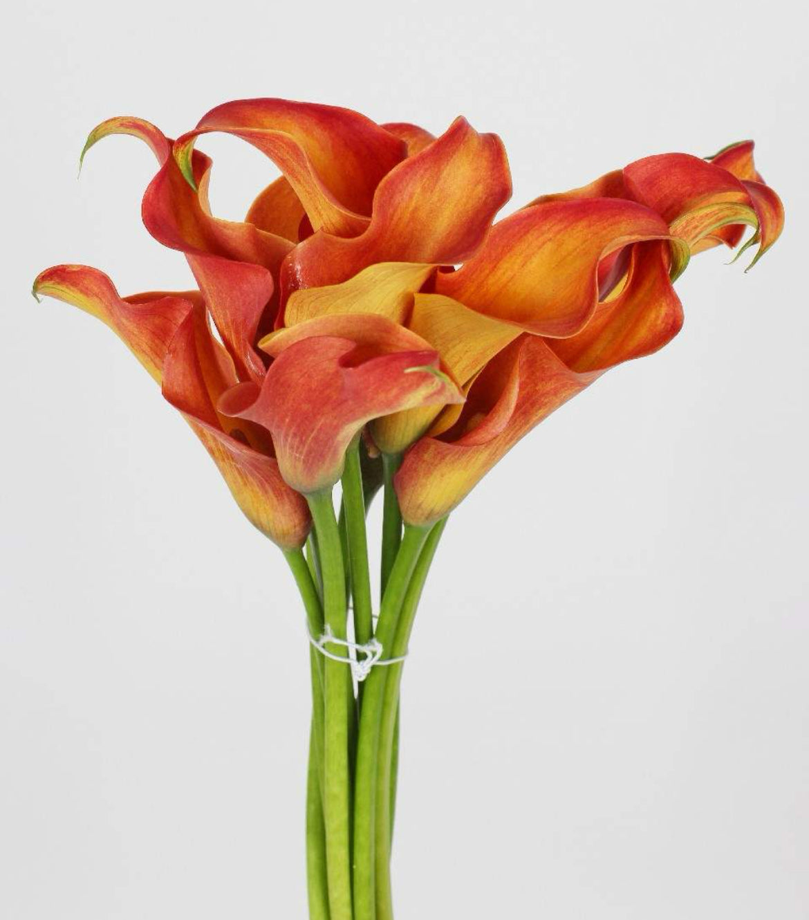 Calla bride bouquet