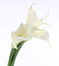 Calla bride bouquet